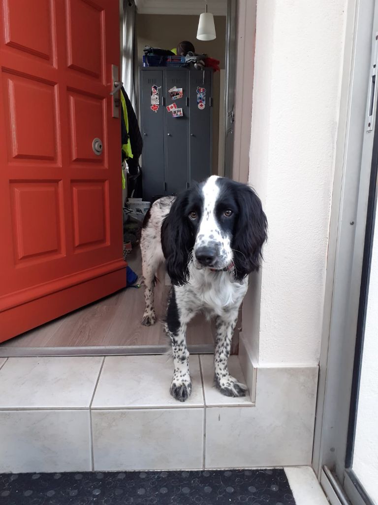 Des Doux Rêves D'Abby - Eli monte la garde.....