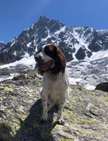 Des Doux Rêves D'Abby - Oslo en balade